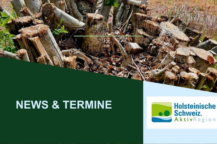 kleine Holzstämme im Kreis